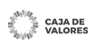 Caja de Valores